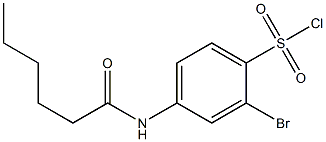 2-bromo-4-hexanamidobenzene-1-sulfonyl chloride