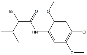 2-bromo-N-(4-chloro-2,5-dimethoxyphenyl)-3-methylbutanamide 化学構造式