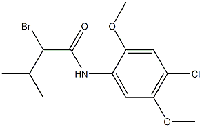 2-bromo-N-(4-chloro-2,5-dimethoxyphenyl)-3-methylbutanamide|