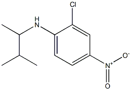 2-chloro-N-(3-methylbutan-2-yl)-4-nitroaniline 结构式