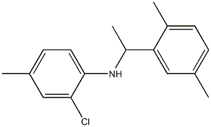 2-chloro-N-[1-(2,5-dimethylphenyl)ethyl]-4-methylaniline