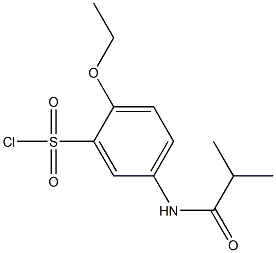2-ethoxy-5-(2-methylpropanamido)benzene-1-sulfonyl chloride Structure