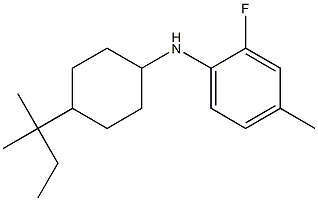 2-fluoro-4-methyl-N-[4-(2-methylbutan-2-yl)cyclohexyl]aniline,,结构式