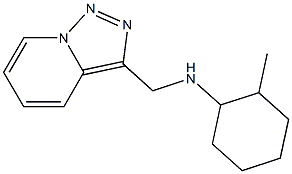 2-methyl-N-{[1,2,4]triazolo[3,4-a]pyridin-3-ylmethyl}cyclohexan-1-amine,,结构式