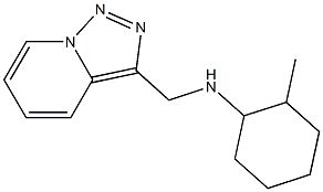 2-methyl-N-{[1,2,4]triazolo[3,4-a]pyridin-3-ylmethyl}cyclohexan-1-amine