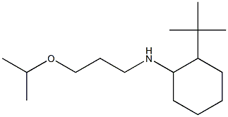  2-tert-butyl-N-[3-(propan-2-yloxy)propyl]cyclohexan-1-amine