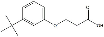 3-(3-tert-butylphenoxy)propanoic acid Struktur