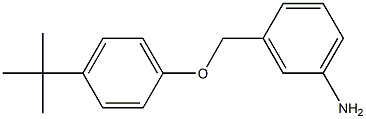 3-(4-tert-butylphenoxymethyl)aniline Structure