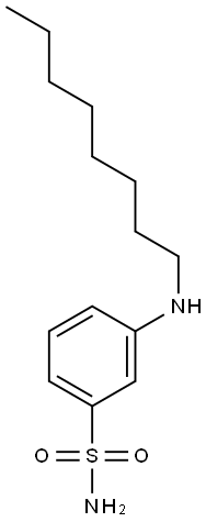 3-(octylamino)benzene-1-sulfonamide|