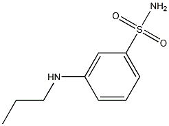 3-(propylamino)benzene-1-sulfonamide Struktur