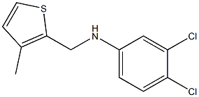 3,4-dichloro-N-[(3-methylthiophen-2-yl)methyl]aniline Structure