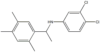 3,4-dichloro-N-[1-(2,4,5-trimethylphenyl)ethyl]aniline 化学構造式