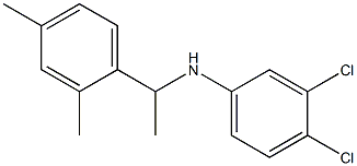 3,4-dichloro-N-[1-(2,4-dimethylphenyl)ethyl]aniline 化学構造式