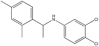 3,4-dichloro-N-[1-(2,4-dimethylphenyl)ethyl]aniline 结构式