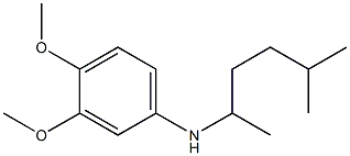 3,4-dimethoxy-N-(5-methylhexan-2-yl)aniline,,结构式