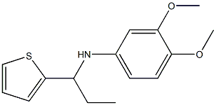 3,4-dimethoxy-N-[1-(thiophen-2-yl)propyl]aniline 化学構造式