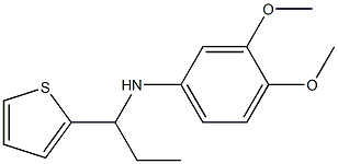 3,4-dimethoxy-N-[1-(thiophen-2-yl)propyl]aniline,,结构式