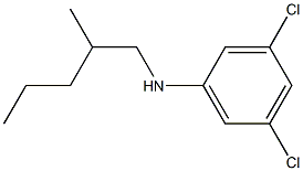 3,5-dichloro-N-(2-methylpentyl)aniline Structure