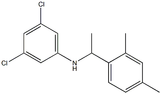 3,5-dichloro-N-[1-(2,4-dimethylphenyl)ethyl]aniline Structure