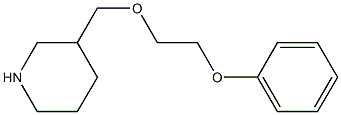 3-[(2-phenoxyethoxy)methyl]piperidine 化学構造式
