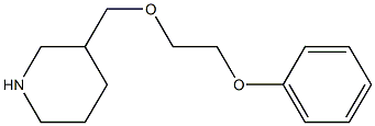 3-[(2-phenoxyethoxy)methyl]piperidine Structure