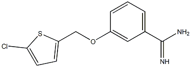 3-[(5-chlorothien-2-yl)methoxy]benzenecarboximidamide 结构式