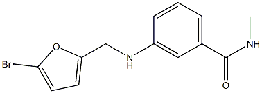 3-{[(5-bromofuran-2-yl)methyl]amino}-N-methylbenzamide,,结构式