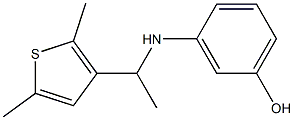 3-{[1-(2,5-dimethylthiophen-3-yl)ethyl]amino}phenol|