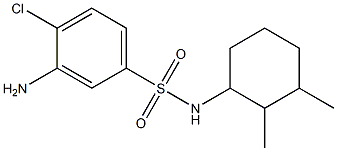 3-amino-4-chloro-N-(2,3-dimethylcyclohexyl)benzene-1-sulfonamide Struktur