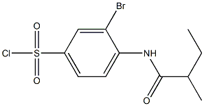 3-bromo-4-(2-methylbutanamido)benzene-1-sulfonyl chloride,,结构式