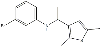 3-bromo-N-[1-(2,5-dimethylthiophen-3-yl)ethyl]aniline