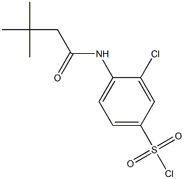 3-chloro-4-(3,3-dimethylbutanamido)benzene-1-sulfonyl chloride 结构式