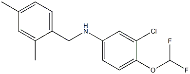 3-chloro-4-(difluoromethoxy)-N-[(2,4-dimethylphenyl)methyl]aniline,,结构式