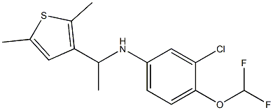 3-chloro-4-(difluoromethoxy)-N-[1-(2,5-dimethylthiophen-3-yl)ethyl]aniline,,结构式