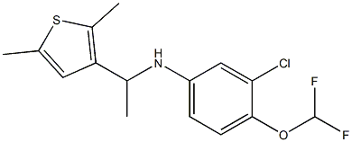 3-chloro-4-(difluoromethoxy)-N-[1-(2,5-dimethylthiophen-3-yl)ethyl]aniline Struktur