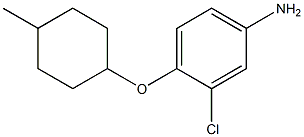 3-chloro-4-[(4-methylcyclohexyl)oxy]aniline Struktur