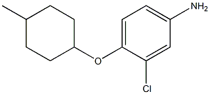  3-chloro-4-[(4-methylcyclohexyl)oxy]aniline