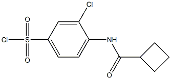 3-chloro-4-cyclobutaneamidobenzene-1-sulfonyl chloride 结构式