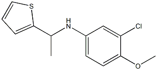 3-chloro-4-methoxy-N-[1-(thiophen-2-yl)ethyl]aniline,,结构式