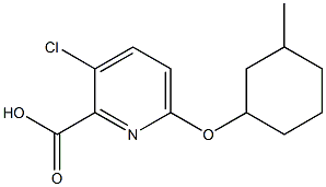 3-chloro-6-[(3-methylcyclohexyl)oxy]pyridine-2-carboxylic acid 结构式