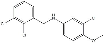 3-chloro-N-[(2,3-dichlorophenyl)methyl]-4-methoxyaniline,,结构式