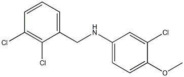  3-chloro-N-[(2,3-dichlorophenyl)methyl]-4-methoxyaniline