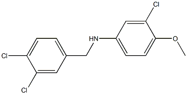 3-chloro-N-[(3,4-dichlorophenyl)methyl]-4-methoxyaniline,,结构式