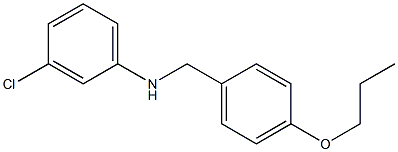 3-chloro-N-[(4-propoxyphenyl)methyl]aniline,,结构式