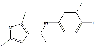 3-chloro-N-[1-(2,5-dimethylfuran-3-yl)ethyl]-4-fluoroaniline,,结构式