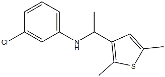 3-chloro-N-[1-(2,5-dimethylthiophen-3-yl)ethyl]aniline 结构式