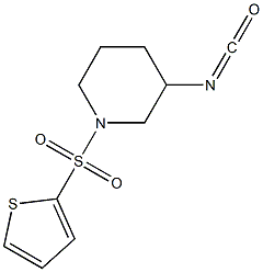 3-isocyanato-1-(thien-2-ylsulfonyl)piperidine 结构式