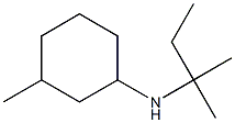 3-methyl-N-(2-methylbutan-2-yl)cyclohexan-1-amine Structure