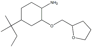 4-(2-methylbutan-2-yl)-2-(oxolan-2-ylmethoxy)cyclohexan-1-amine