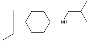 4-(2-methylbutan-2-yl)-N-(2-methylpropyl)cyclohexan-1-amine